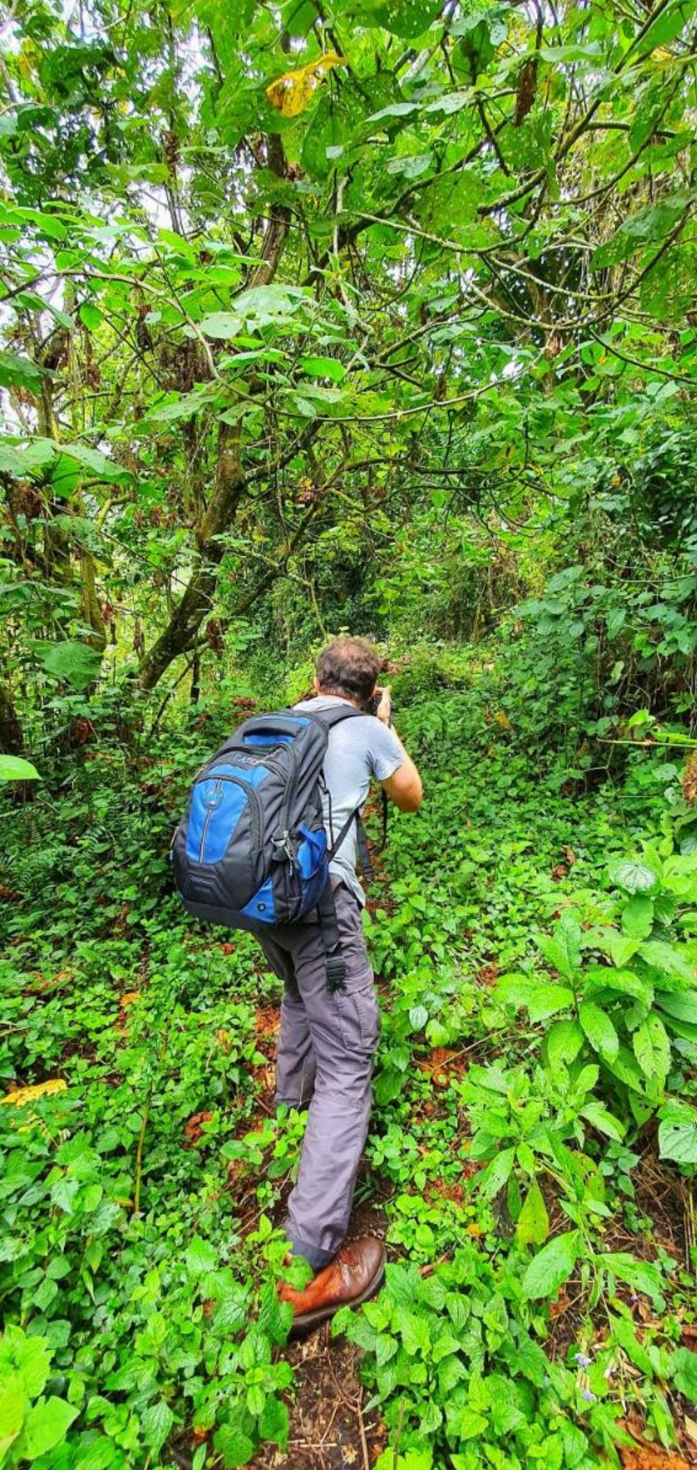 Mazzola Safari House & Backpacking Image 10