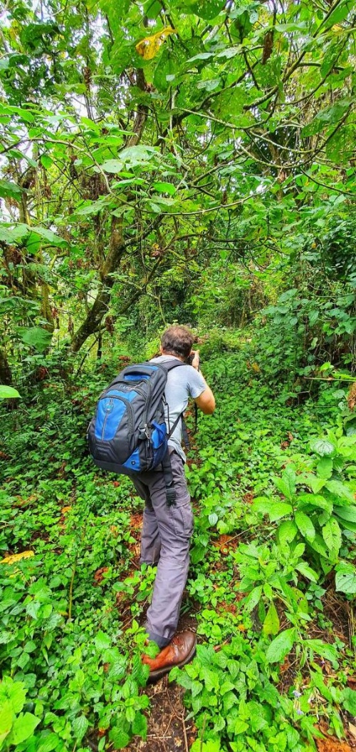 Mazzola Safari House & Backpacking image 10