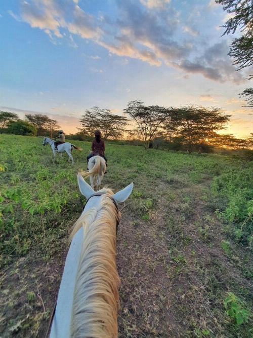 Mazzola Safari House & Backpacking image 11