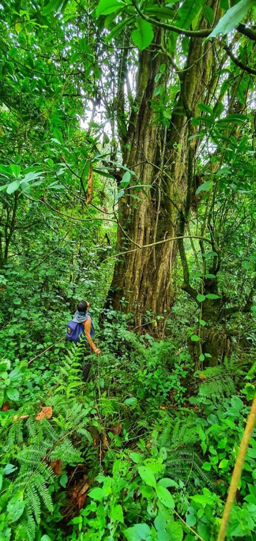 Mazzola Safari House & Backpacking image 14