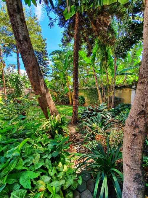 Mazzola Safari House & Backpacking image 17