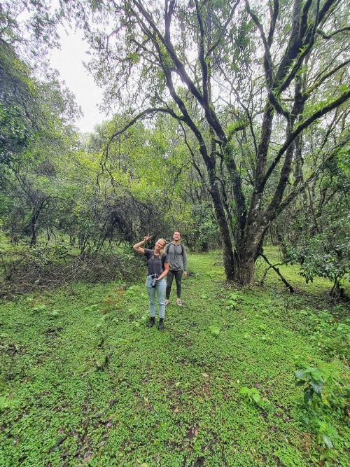 Mazzola Safari House & Backpacking image 21