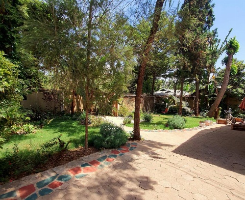 Mazzola Safari House & Backpacking image 23